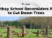 Carthay School Reconsiders Plan to Cut Down Trees