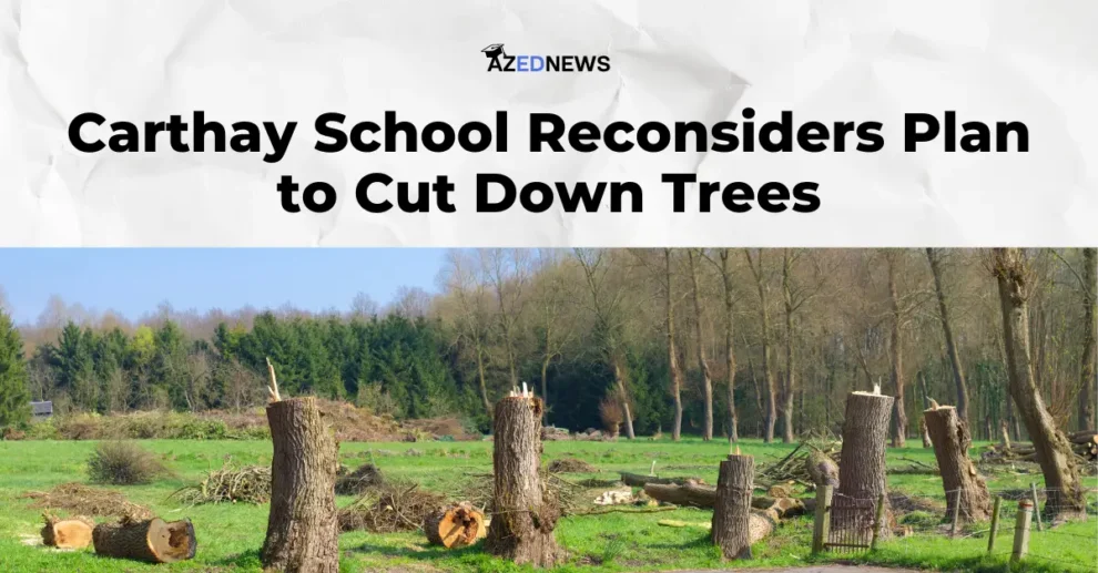 Carthay School Reconsiders Plan to Cut Down Trees