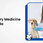 Veterinary Medicine in Canada