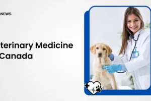 Veterinary Medicine in Canada