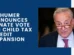 Schumer Announces Senate Vote on Child Tax Credit Expansion