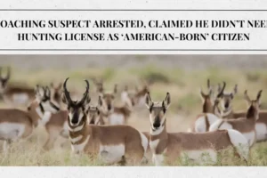 Poaching suspect arrested, claimed he didn’t need hunting license as ‘American-born’ citizen