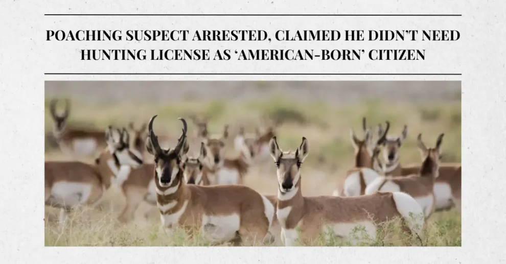 Poaching suspect arrested, claimed he didn’t need hunting license as ‘American-born’ citizen