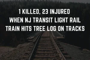 1 killed 23 injured when NJ Transit light rail train hits tree log on tracks